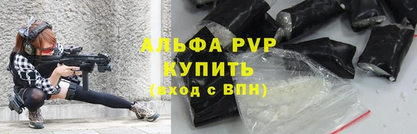 стафф Алексин