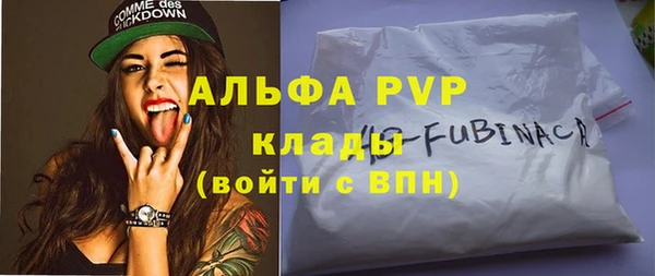 винт Абаза