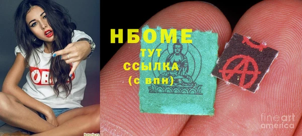 стафф Алексин