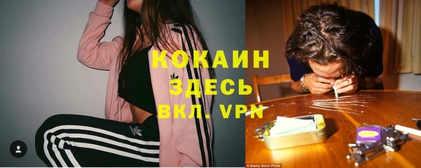 стафф Алексин