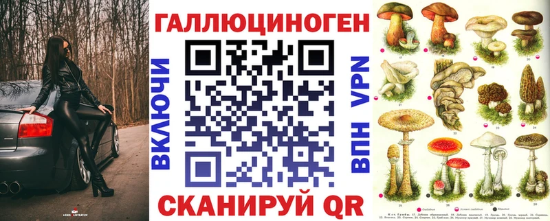 MEGA как зайти Приволжский Галлюциногенные грибы Psilocybe